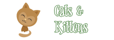 Curious Kids Cats & Kittens
