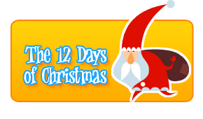 The 12 Days of Christmas Mad Lib